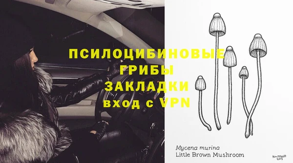 гидра Белокуриха