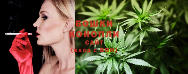 гидра Белокуриха
