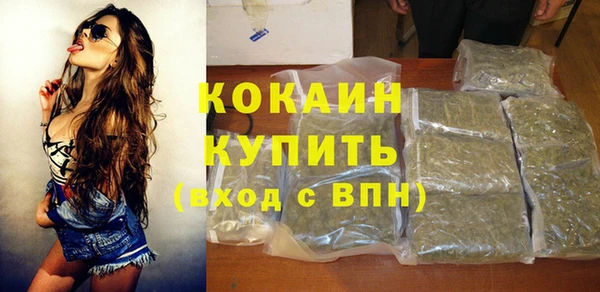 прущий лед Богданович
