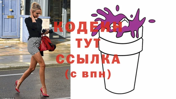 прущий лед Богданович