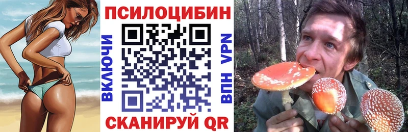 магазин продажи наркотиков  Духовщина  Псилоцибиновые грибы Psilocybe 